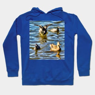 Flying belly flop Hoodie